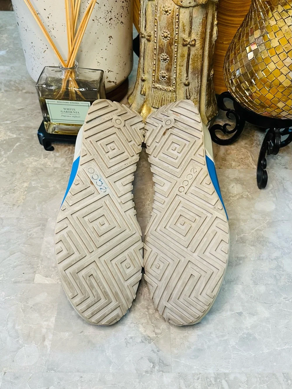 Ecco men’s biom
